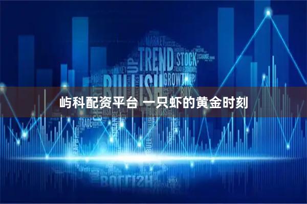 屿科配资平台 一只虾的黄金时刻