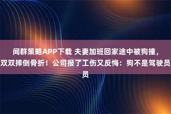 间群策略APP下载 夫妻加班回家途中被狗撞，双双摔倒骨折！公司报了工伤又反悔：狗不是驾驶员